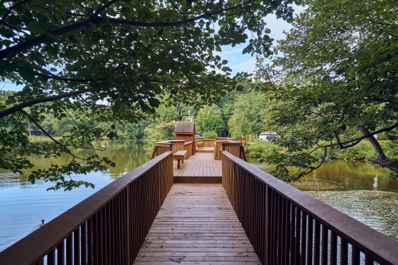 View of a dock leading out to water in Mountain Park, Georgia.